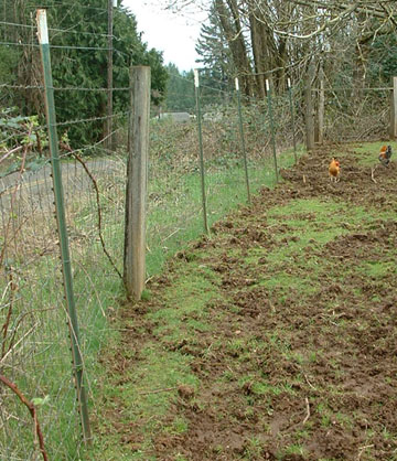 WE INSTALL ALL TYPES OF FARM FENCEING INCLUDING WOVEN WIRE