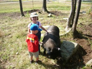 DaisyNGrandkids The grandkids with an adult Guinea Hog. Photo courtesy of Sullbar Farm.
