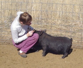 Mickiandfriend Micki with a 5-month-old gilt.