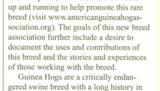 IN THE NEWS – American Livestock Breeds Conservancy (ALBC) Newsletter, page 10 of October 2006 issue