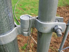 Wiring the hinge side of a chain link gate to prevent pigs and goats from lifting it off the hinges. Photo courtesy of Cascade Meadows Farm, March 2007.